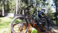 /album/wab-what-a-ballern-mtb-enduro-fullgasss/a70146707-942391719444203-1121224555768053760-n-jpg/